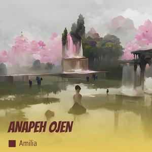 ANAPEH OJEN