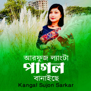 Arfoj Lengta Pagol Banaice