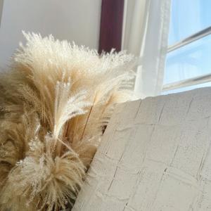 拍拍灰尘再出发