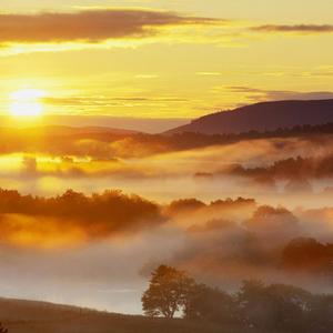 奥特曼打小怪兽