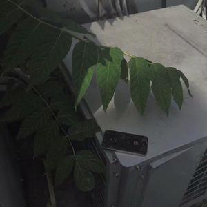 刚刚好（翻自 XZQ）