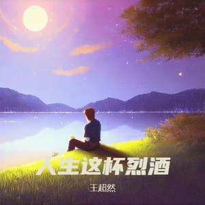 人生这杯烈酒DjGsus4版