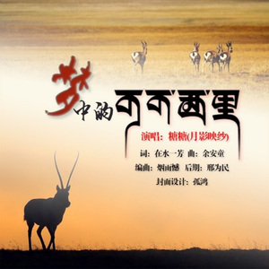 梦中的可可西里