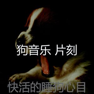 有趣睡狗情怀