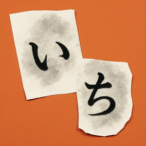 フリーダム姉さん４２