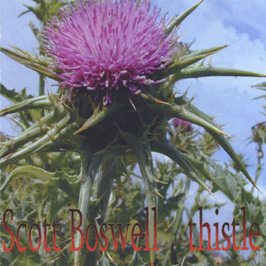 Thistle