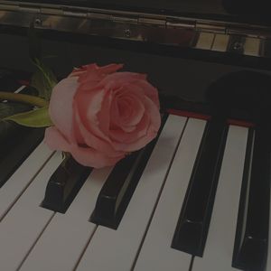 不要忘记我爱你(钢琴版）