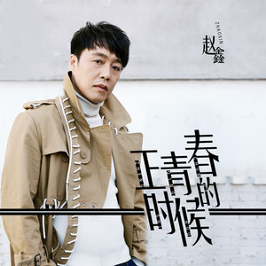 正青春的时候 (DJ酱爆鱿鱼版)