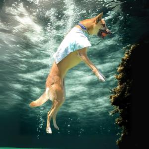 Buoyancy Control