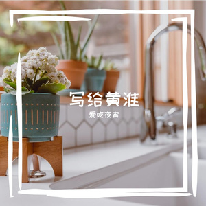 月亮不曾奔我而来