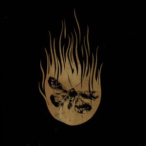 The Strongest I Have Known