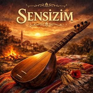Sensizim
