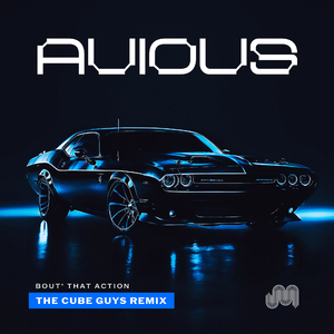 Bout the Action (The Cube Guys Extended Mix)
