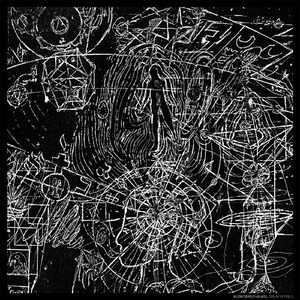 Buffi and the Dolphins