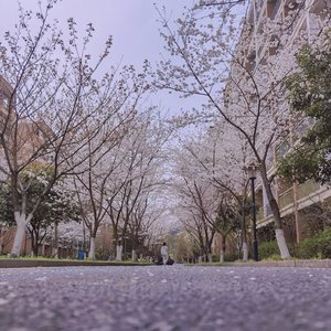 再一起