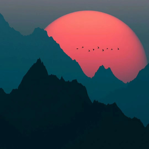 诺(cover:李炜/杨菲洋)