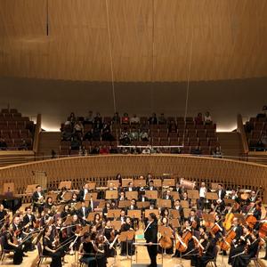 邓建栋 洪湖主题随想曲-436(1)