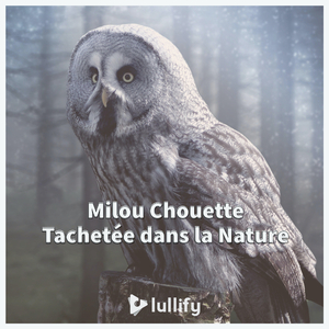 Hibou des neiges hiver