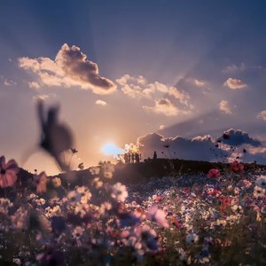 回忆是我偷来的