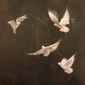 千纸鹤(feat.chill to c)