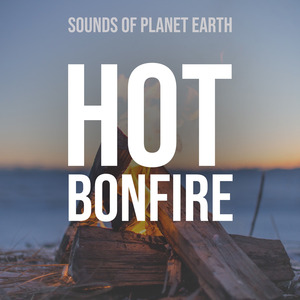 Zen Bonfire Flames Atmosphere at the Forest River Bank