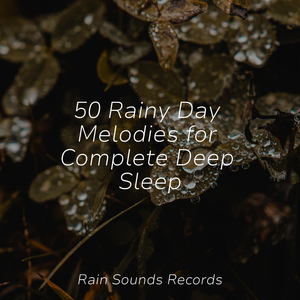 Feathered Fields' Dance