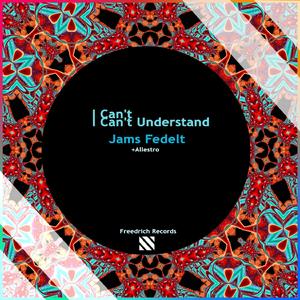 I Can't Understand (Radio Edit) ((Radio Edit))