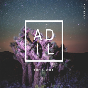 The Light (feat. A.K.A.)