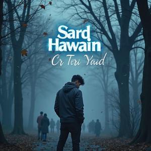 Sard Hawain Or Teri Yaid