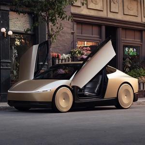 RoboTaxi