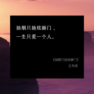 抽烟只抽炫赫门