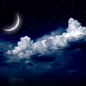 爱永不凋零 （cover 你从未离去 白挺）