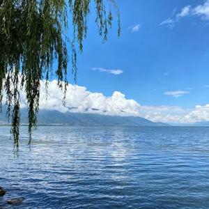 去有风的地方 (Cover 郁可唯)