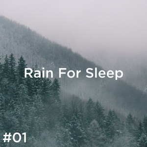 Sleep Rain Sounds