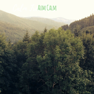 Night Lights Flicker