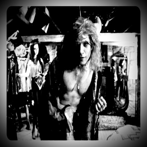 Beetles in the Lexus