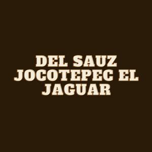 Del sauz Jocotepec el Jaguar