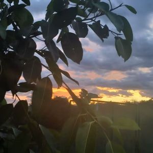 那年夏天没有尽头