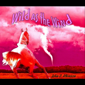 Ode to Chief Powhatan