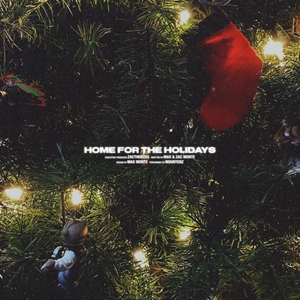 home for the holidays