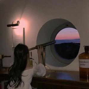 樱花盛开的地方