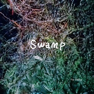 swamp