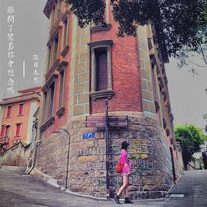 离开了鹭岛你会想念吗