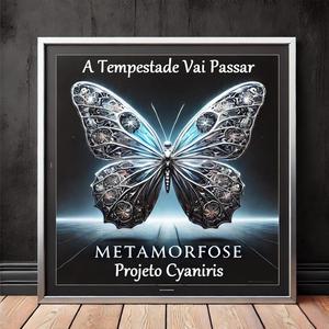 A Tempestade Vai Passar