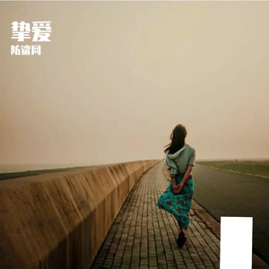 心会跟爱一起走