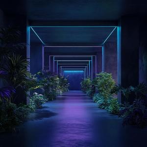 FOREST ECHOES (feat. AAETHAM)