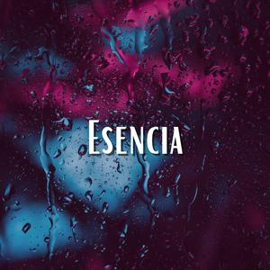 Noche en la Luz de las Estrellas