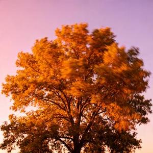 我爱着远方的一个人