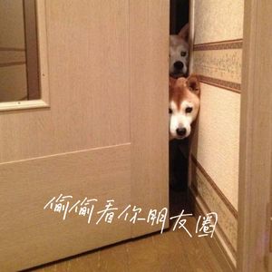 偷偷看你朋友圈