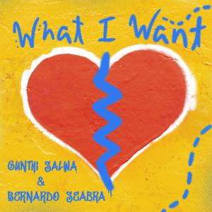 What I Want